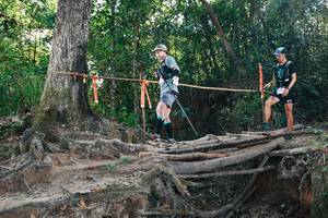 BIB: 
                            <button type="button" onclick="openModal(27753773)" class="btn btn-primary btn-sm float-right btn-popup" data-toggle="modal" data-target=".modal-high-quality">
                        <i class="fas fa-shopping-cart"></i> Add to Cart
                    </button>
                                            <button type="button" onclick="isThisMe(27753773, true)" class="btn btn-success btn-sm float-right btn-popup btn-isme hidden" data-toggle="tooltip" data-placement="bottom" title="นี่คือรูปของคุณใช่ไหม คลิกที่นี่เพื่อเอาเข้าอัลบั้ม">
                        <i class="fas fa-plus"></i> Add to album
                    </button>
                    <button type="button" onclick="isThisMe(27753773, false)" class="btn btn-warning btn-sm float-right btn-popup btn-isnotme hidden">
                        <i class="fas fa-ban"></i> Remove from album
                    </button>